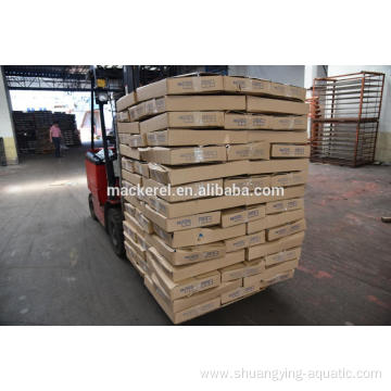 Hot Sales Seafrozen Pacific Mackerel 100-200 200-300g